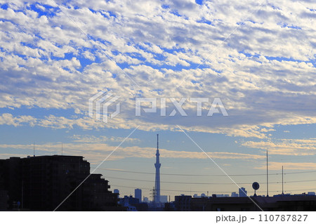 夕陽に照らされた高積雲(ひつじ雲) 夕陽に照らされた高積雲(ひつじ雲) 110787827
