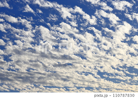 夕陽に照らされた高積雲（ひつじ雲） 110787830