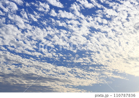 夕陽に照らされた高積雲（ひつじ雲） 110787836