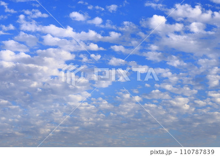 青空に広がる高積雲（ひつじ雲） 110787839