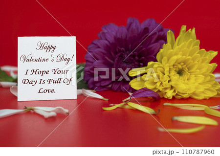 Valentine's Day Greeting Card with flowers on red background. Valentine's Day Greeting Card with flowers on red background. 110787960