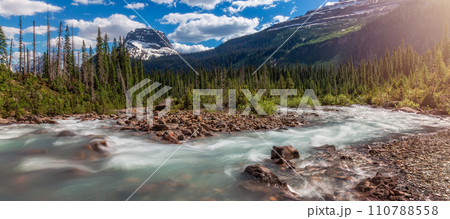 River running down the canyon with green trees in forest and rocks River running down the canyon with green trees in forest and rocks 110788558