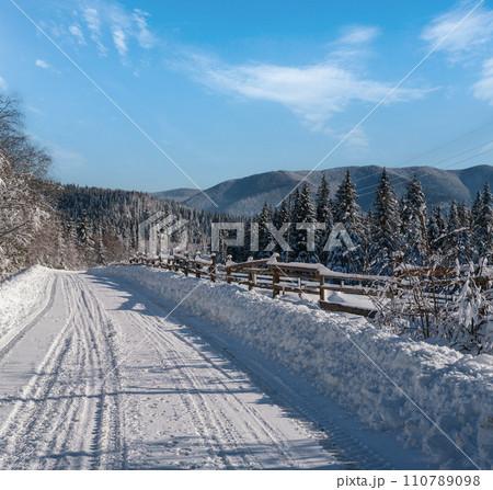 Secondary countryside alpine road to remote mountain hamlet through snowy fir forest, snow drifts and wood fence on wayside Secondary countryside alpine road to remote mountain hamlet through snowy fir forest, snow drifts and wood fence on wayside 110789098
