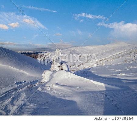 Snow covered fir trees on snowy mountain plateau, tops with snow cornices in far. Magnificent sunny day on picturesque beautiful alps ridge. Snow covered fir trees on snowy mountain plateau, tops with snow cornices in far. Magnificent sunny day on picturesque beautiful alps ridge. 110789164