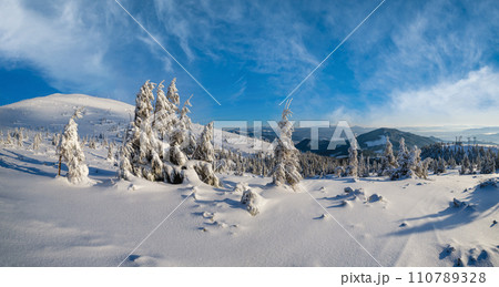Sunrise mountain skiing freeride slopes and fir tree groves near alpine resort panorama. 110789328