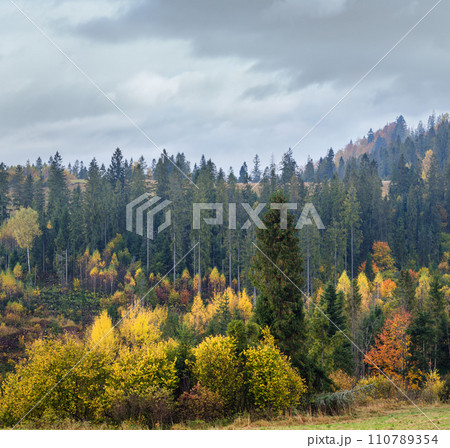 Cloudy and foggy autumn mountain scene. Peaceful picturesque traveling, seasonal, nature and countryside beauty concept scene. Cloudy and foggy autumn mountain scene. Peaceful picturesque traveling, seasonal, nature and countryside beauty concept scene. 110789354