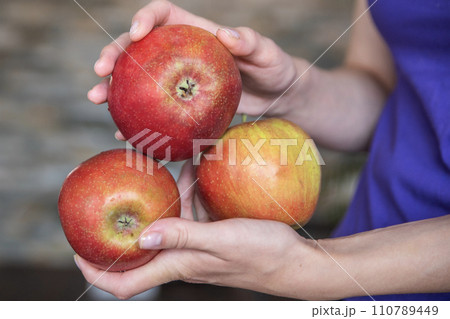 Woman holding whole apples close-up. A quick snack in the form of an apple. 110789449