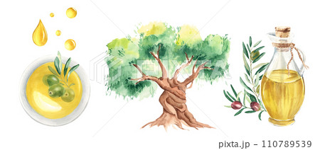Set of olive oil glass jug, oil drops, olive fruit and branch in oil bowl and olive tree. Hand drawn watercolor illustration on a white background. For menu, product and italian, greek, spanish 110789539