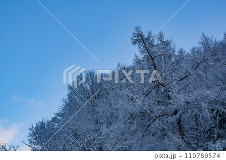 雪化粧した木々 雪化粧した木々 110789574