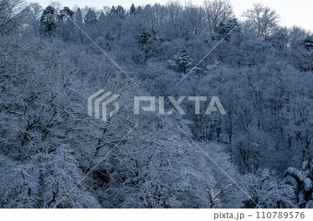 雪化粧した木々 110789576