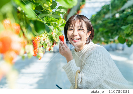イチゴ狩りをする女性　いちご狩りをする女性 110789881