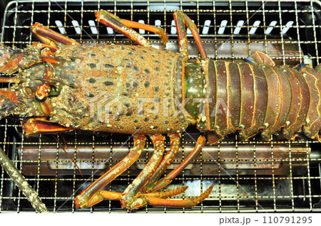 伊勢海老豪快網焼き 110791295