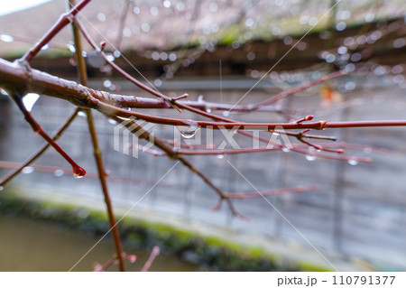 古民家の滴 110791377