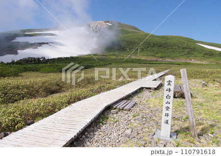 白山弥陀ヶ原と御前峰 白山弥陀ヶ原と御前峰 110791618