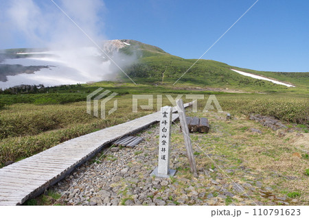 白山弥陀ヶ原と御前峰 110791623