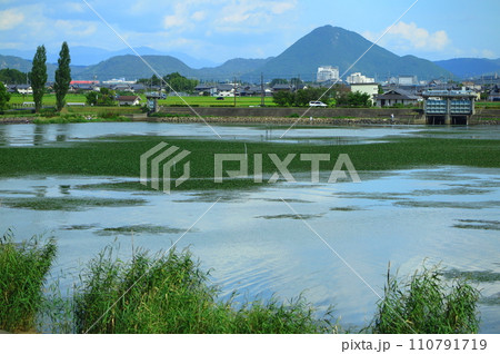 滋賀県の、津田江内湖と三上山（近江富士） 110791719