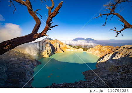 Deadwood Leafless Tree with Turquoise Water Lake,Beautiful nature Landscape mountain and green lake at Kawah Ijen volcano,East Java, Indonesia 110792088