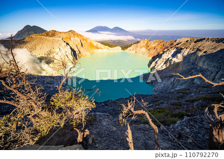 Deadwood Leafless Tree with Turquoise Water Lake,Beautiful nature Landscape mountain and green lake at Kawah Ijen volcano,East Java, Indonesia 110792270