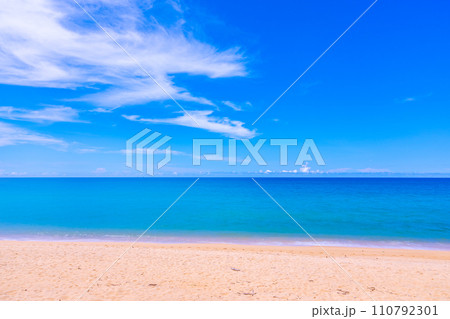 Beautiful sea summer landscape in summer season nature background 110792301