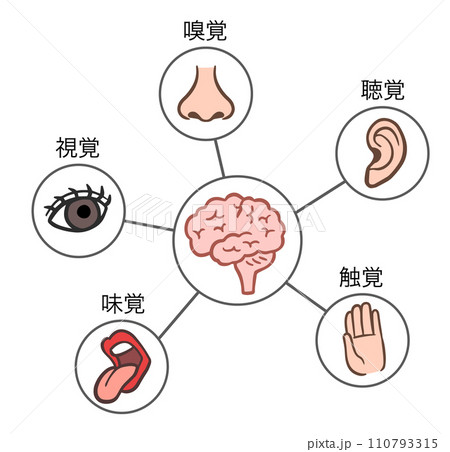 人体の五感 人体の五感 110793315