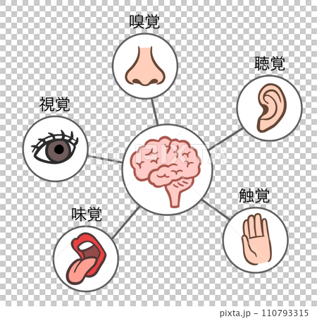 人体の五感 人体の五感 110793315