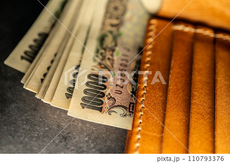 たくさんのお金 110793376