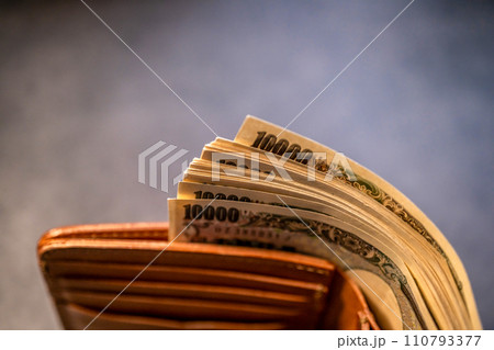 たくさんのお金 たくさんのお金 110793377