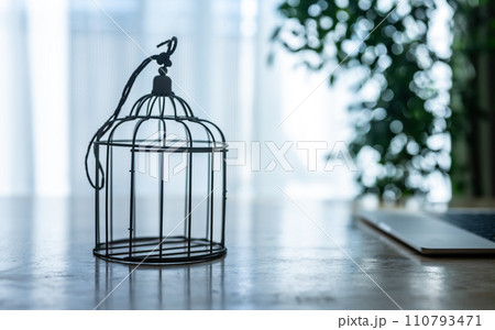 からっぽの鳥籠 からっぽの鳥籠 110793471
