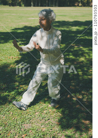 シニアの太極拳 110793503