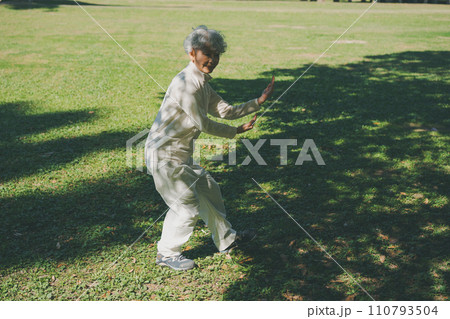 シニアの太極拳 110793504