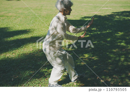 シニアの太極拳 110793505