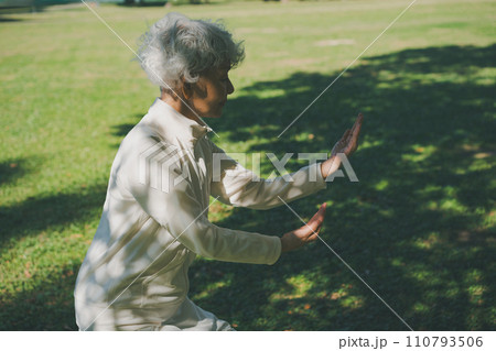 シニアの太極拳 110793506