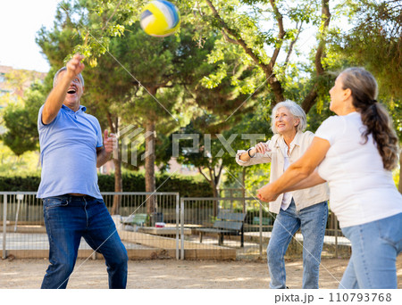 Two mature couples playing volleyball in summer park 110793768