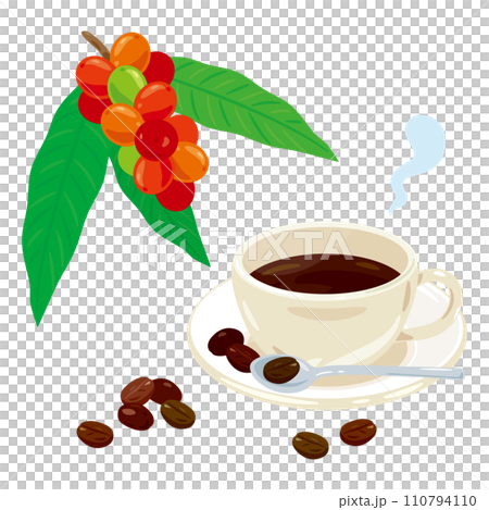 咖啡漿果和咖啡 110794110