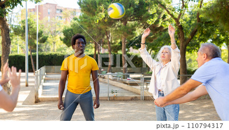 Two mature couples playing volleyball in summer park 110794317