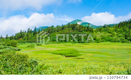 夏の火打山登山(高谷池) 夏の火打山登山(高谷池) 110794734