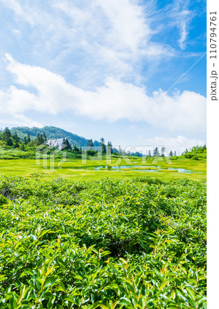 夏の火打山登山(高谷池と高谷池ヒュッテ) 夏の火打山登山(高谷池と高谷池ヒュッテ) 110794761