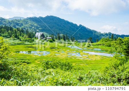 夏の火打山登山（高谷池と高谷池ヒュッテ） 110794791