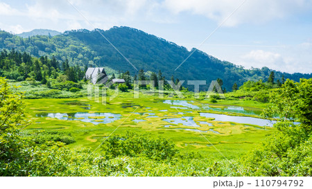夏の火打山登山（高谷池と高谷池ヒュッテ） 110794792