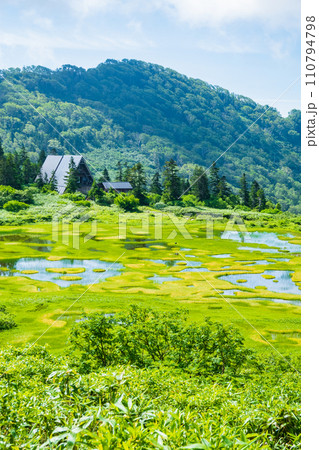 夏の火打山登山（高谷池と高谷池ヒュッテ） 110794798