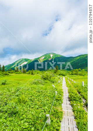 夏の火打山登山(高谷池~天狗の庭) 夏の火打山登山(高谷池~天狗の庭) 110794857