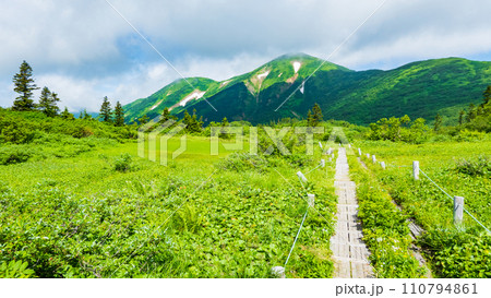 夏の火打山登山（高谷池～天狗の庭） 110794861