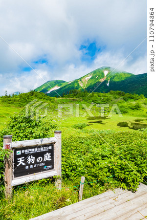 夏の火打山登山（天狗の庭） 110794864