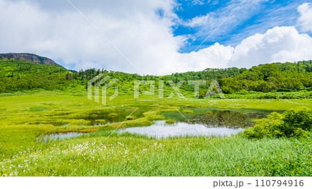夏の火打山登山（天狗の庭） 110794916