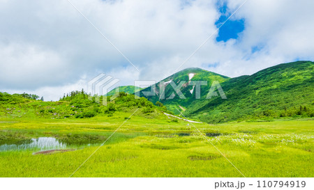 夏の火打山登山(天狗の庭) 夏の火打山登山(天狗の庭) 110794919