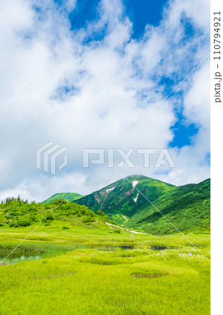 夏の火打山登山(天狗の庭) 夏の火打山登山(天狗の庭) 110794921