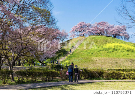 古墳と桜 110795371