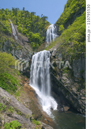 新緑の安の滝 110795530