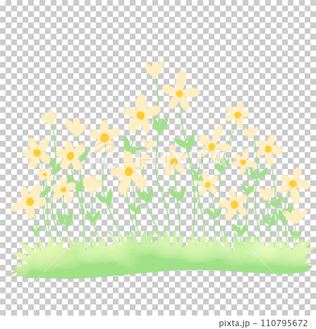 grass with yellow flowers decoration garden 110795672