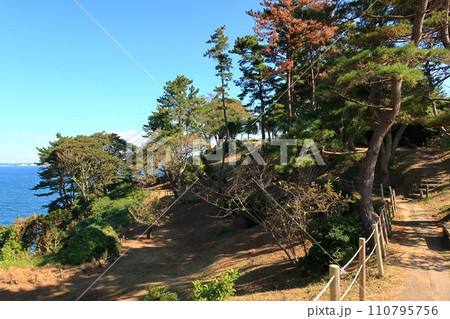 五浦岬公園の景観 110795756